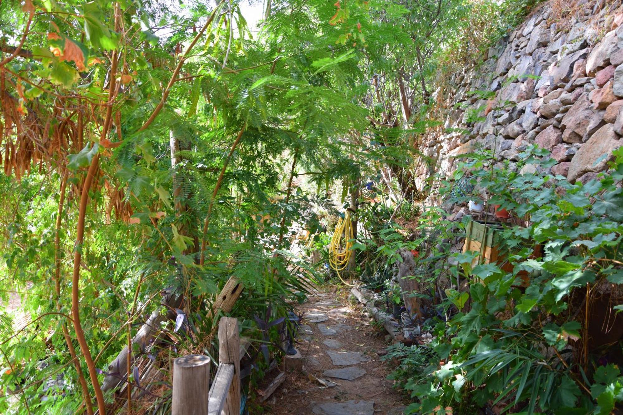 La Casa De Los Pinos Temisas Buitenkant foto